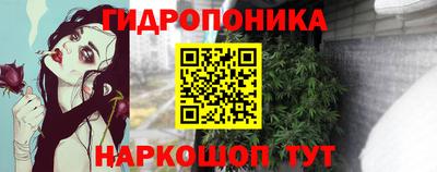СК Рыбинск