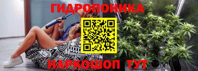 СК Рыбинск
